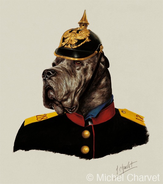 Les Alsachiens dans la presse